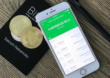 Going Customer-Centric: FinTech Lessons For Dimex Capital